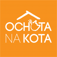 Ochota na Kota Ochota na Kota